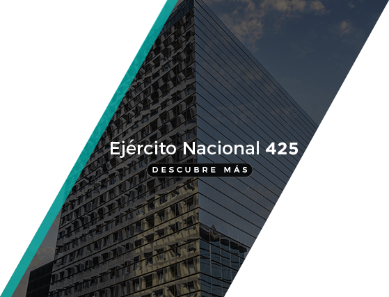 ejercito nacional